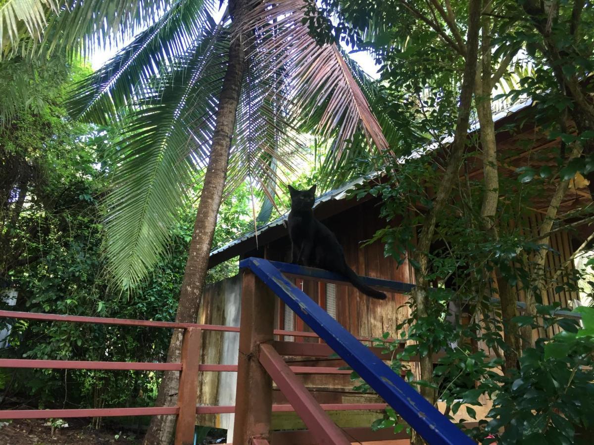 Hotel Phayam Garden View Koh Phayam Esterno foto
