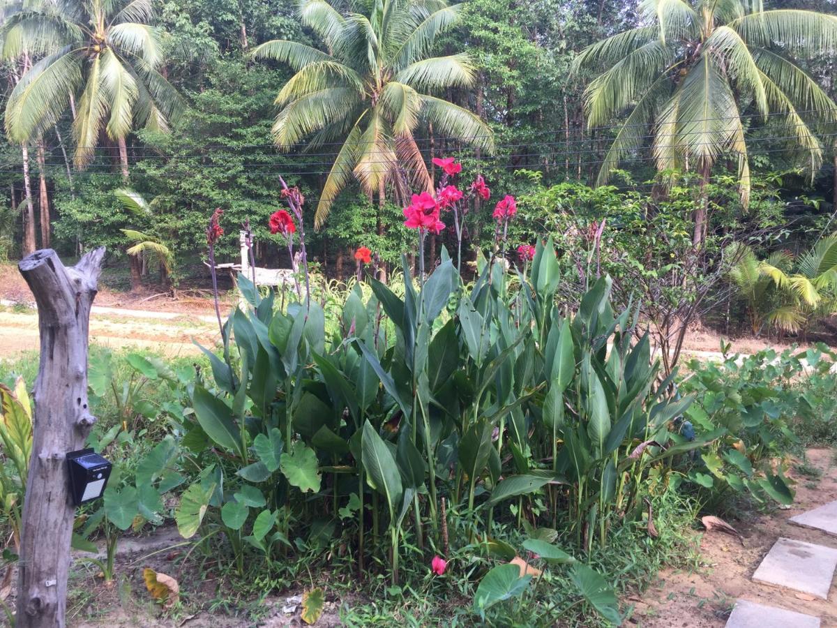 Hotel Phayam Garden View Koh Phayam Esterno foto