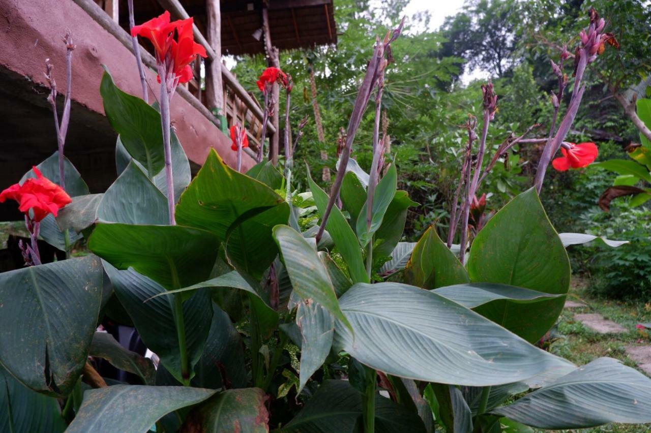 Hotel Phayam Garden View Koh Phayam Esterno foto